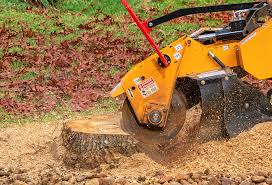 Best Lawn Drainage Solutions  in Mill Creek, WA