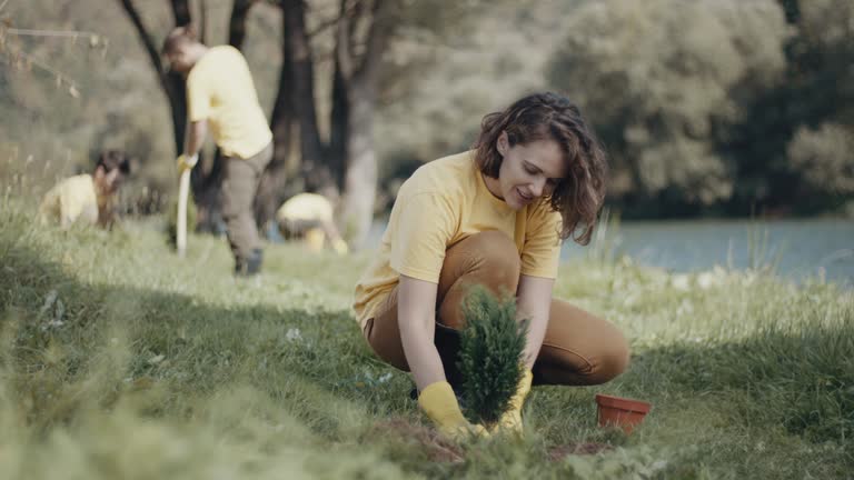 Best Lawn Renovation and Restoration  in Mill Creek, WA