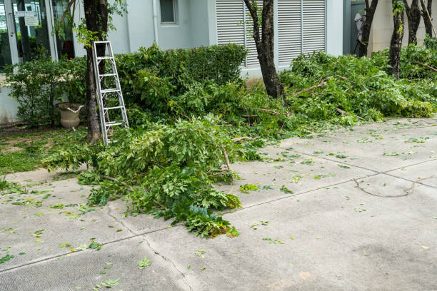 Best Aeration Services  in Mill Creek, WA